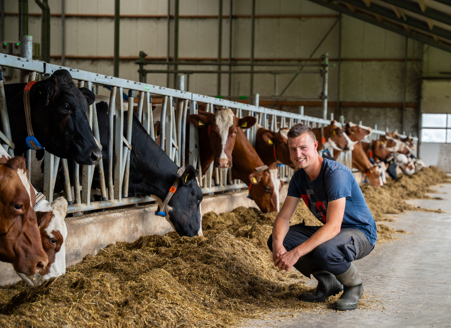 Dairy farm Jansen Holleboom Dairy farm Jansen Holleboom